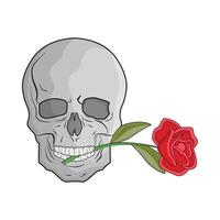 illustration of skull and rose vector