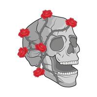 illustration of skull and rose vector