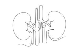 One continuous line drawing of anatomy of human concept. Doodle illustration in simple linear style. vector