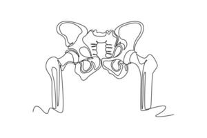 One continuous line drawing of anatomy of human concept. Doodle illustration in simple linear style. vector