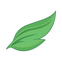 illustration of leaf vector
