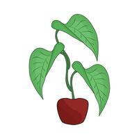 illustration of houseplant vector