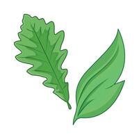 illustration of leaf vector