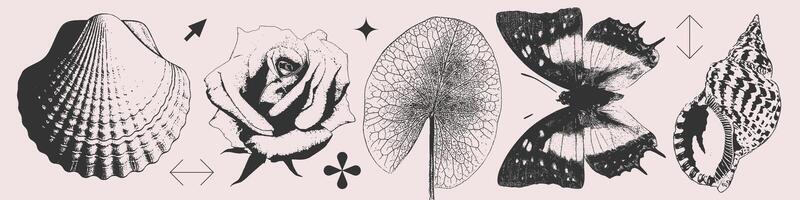 Summer Set of seashells, rose, leaf, butterfly in photocopy halftone Y2K style. Isolated black and white retro print effect. vector