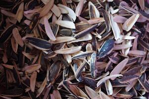 A pile of black and white seeds photo