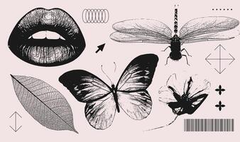 Lips, butterfly, dragonfly, flower, leaf realistic elements with a retro grainy photocopy effect. Y2k print for brutal design. Grain effect and stippling. dots textured illustration collection. vector