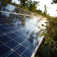 Solar cell panels with a sky background. Alternative electricity source photo