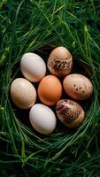 Easter diversity chicken, quail eggs for Catholic and Orthodox holidays Vertical Mobile Wallpaper photo