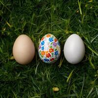 Vibrant trio eggs symbolize flower shop background For Social Media Post Size photo