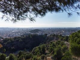 Urban landscape, panorama of the city take from the mountain with pine branch and trees in the foreground photo