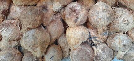 Pile of brown old coconuts peeled with buds sold in Indonesia traditional market photo