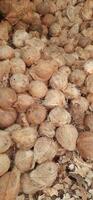 Pile of brown old coconuts peeled with buds sold in Indonesia traditional market photo