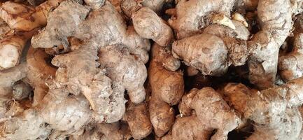 Heap of fresh ginger roots sold in traditional market Indonesia photo