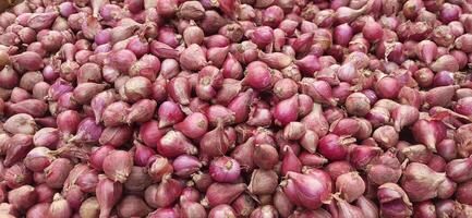 Pile of fresh red onions background photo