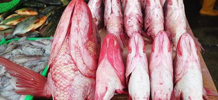 Fresh raw fish sale at traditional market. Fish vibrant color background photo