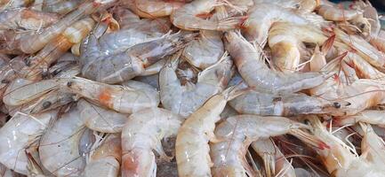 Many fresh raw shrimp at the traditional market in Indonesia. Uncooked prawn seafood background photo