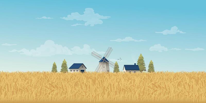 Old farm windmill in wheat field with blue sky background illustration have blank space. Countryside concept with gold colors barley field.
