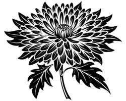 negro silueta crisantemo flor vector
