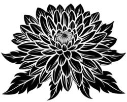 negro silueta crisantemo flor vector