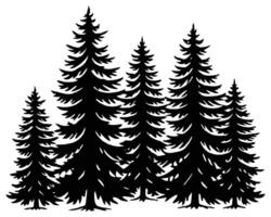 Black Spruce Trees Winter season design illustration vector