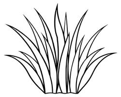 A bunch of grass illustration vector