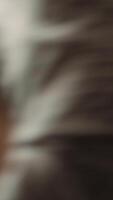 vertical artesão com segurança óculos Próximo para Aprendiz usando lixar quadra para retirar imperfeições em madeira. criativo homem vestindo protetora engrenagem desfrutando faça você mesmo passatempo, usando lixa para Faz lixar, Câmera uma video