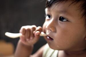 Little Boy Holding A Fork In His Mouth photo
