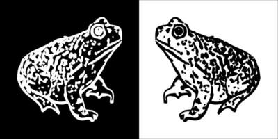 Illustration graphics of frog icon vector