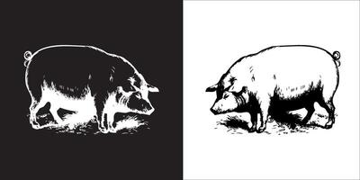 Illustration graphics of pig icon vector