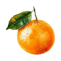 acuarela naranja aislado en transparente antecedentes png