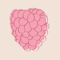 Pink raspberry lying on a vibrant pink background. The fruit appears fresh and ripe, ready to be enjoyed vector