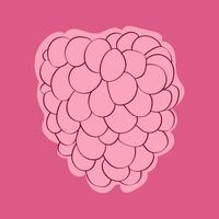 Hand-painted raspberry is placed on a solid pink background. The setting creates a vibrant and visually appealing composition vector