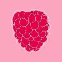 The drawing of raspberries in the shape of a heart and pink background complements the raspberry color and creates a feeling of tenderness and romance vector