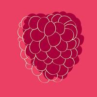 Red raspberry against a bright pink background. The grapes are plump and ripe, ready for harvest vector