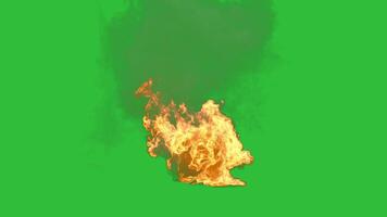 Fire burning with turbulent shape on green background video