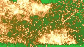 fuoco Engulfed nel fiamme su verde sfondo video