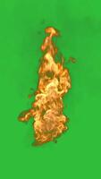 fuoco fiamme loop su verde sfondo video