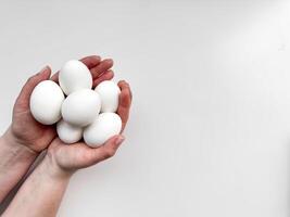 Hands cradling a cluster of white eggs against pale background, a symbol of care, nourishment, and new beginnings with ample copy space. For culinary websites, recipe blogs, and nutritional guides. photo