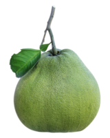 Pomelo fruit with leaf png