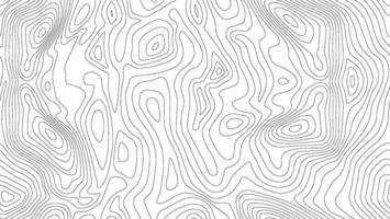 Seamless topographic map background. Line topography map seamless pattern. Mountain hiking trail over terrain. Contour background geographic grid. vector