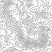 sin costura topográfico mapa antecedentes. línea topografía mapa sin costura modelo. montaña excursionismo sendero terminado terreno. contorno antecedentes geográfico red. vector