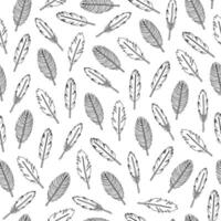 Seamless pattern with boho feathers. vector