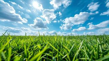 herboso campo debajo azul cielo con nubes foto