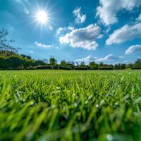 Sun Setting Over Grass Field photo