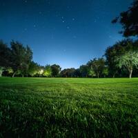 Grassy Field With Trees Under Night Sky photo