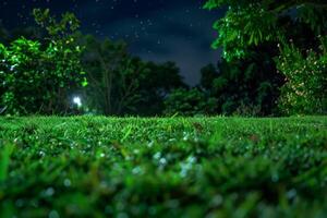 Grassy Field With Distant Street Light photo