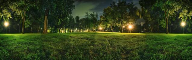 Grassy Field With Trees and Lights at Night photo