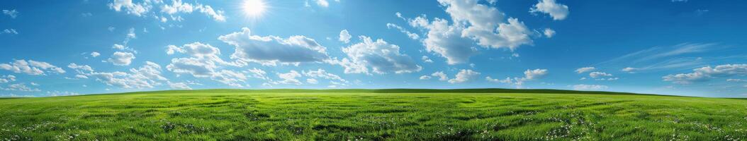 herboso campo debajo azul cielo con nubes foto