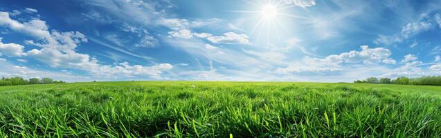 Grassy Field Under Blue Sky With Clouds photo