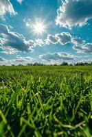 Sun Shining Through Clouds Over Grass Field photo